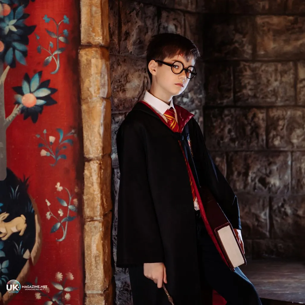 Captivating Harry Potter