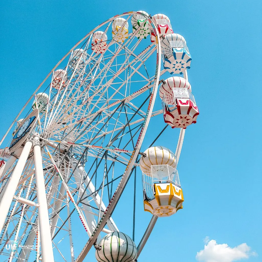 Whimsical County Fair